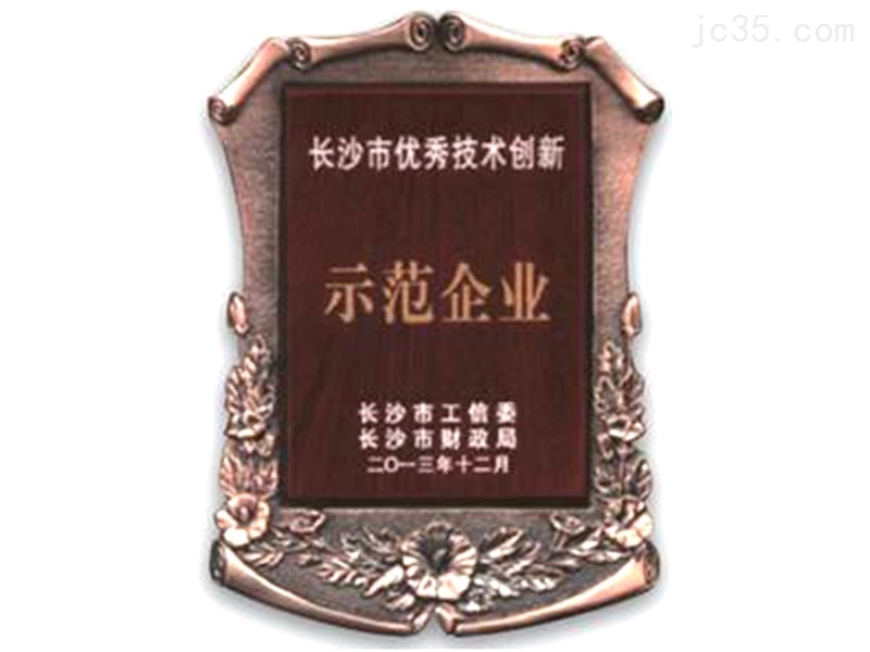 長(zhǎng)沙市優秀(xiù)技術創新(xīn)示範企業(ye)